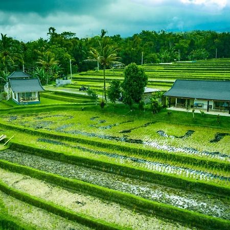 Kubu D'Ume Homestay Jatiluwih Exterior photo