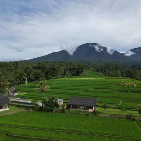 Kubu D'Ume Homestay Jatiluwih Exterior photo