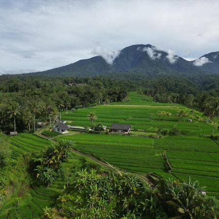 Kubu D'Ume Homestay Jatiluwih Exterior photo