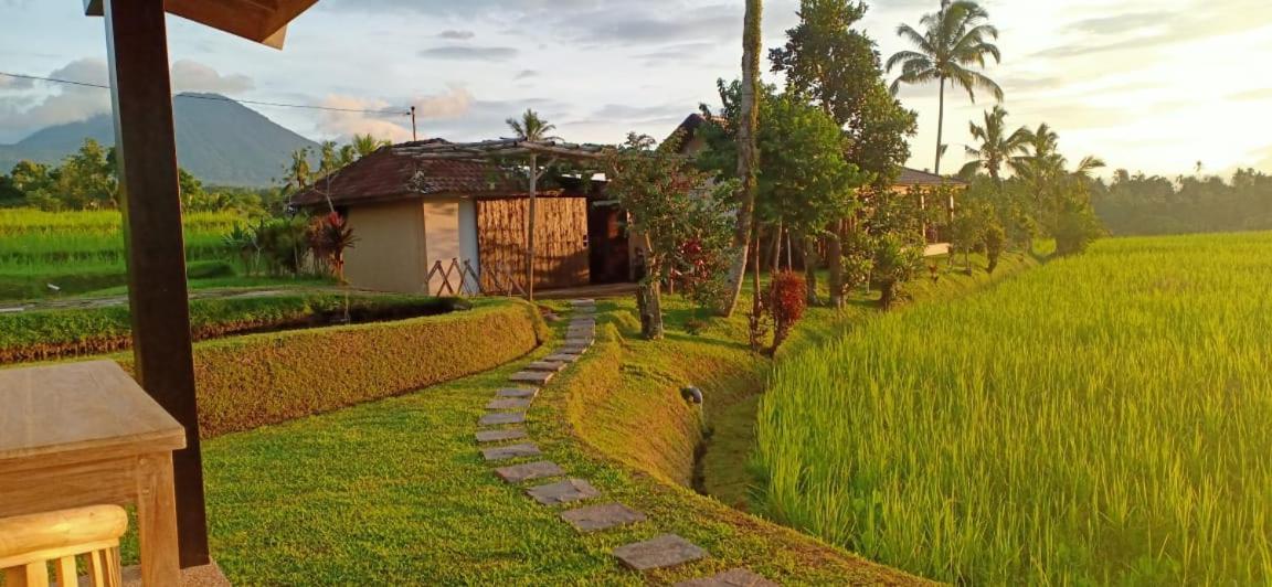 Kubu D'Ume Homestay Jatiluwih Exterior photo