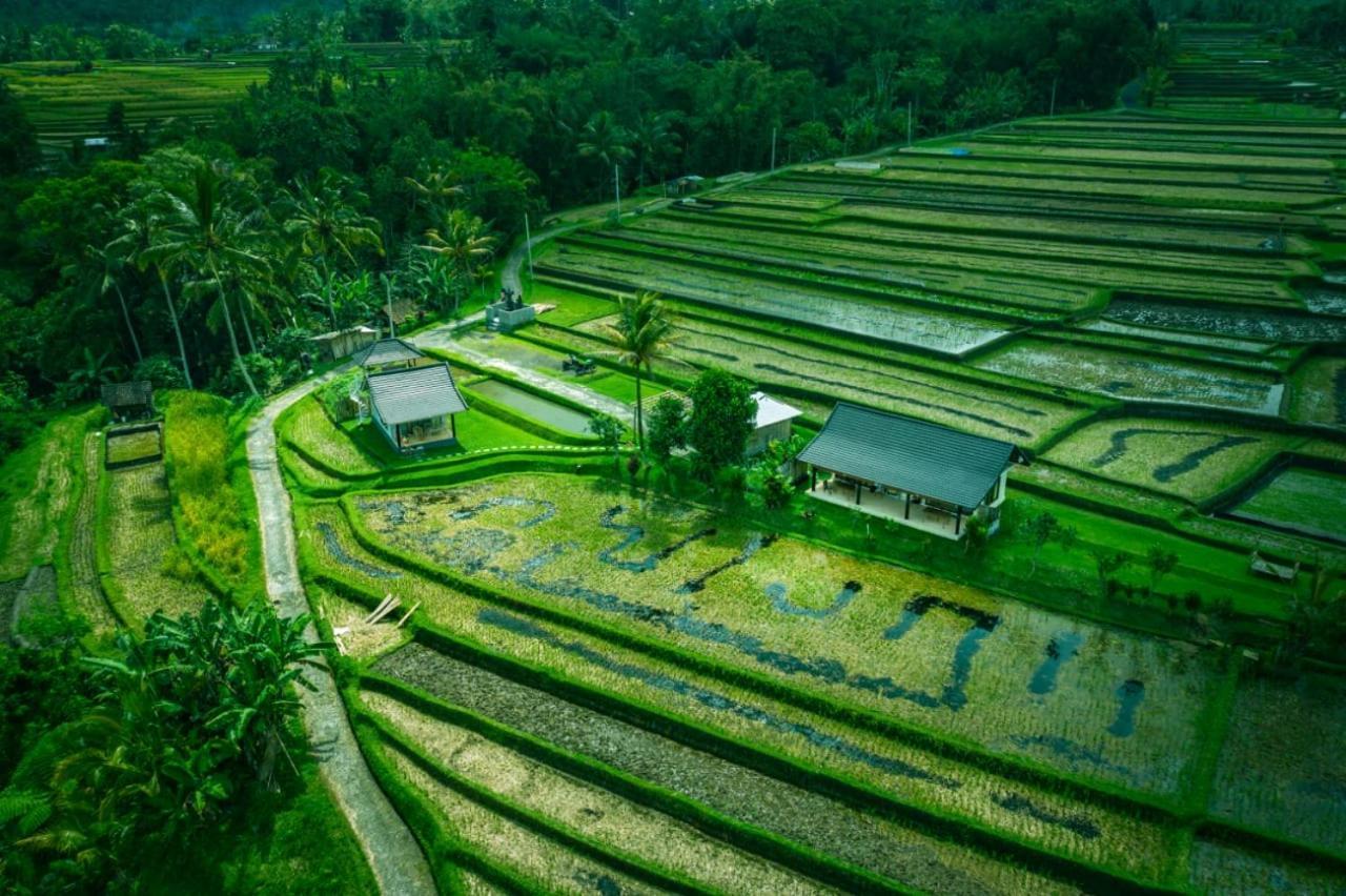 Kubu D'Ume Homestay Jatiluwih Exterior photo