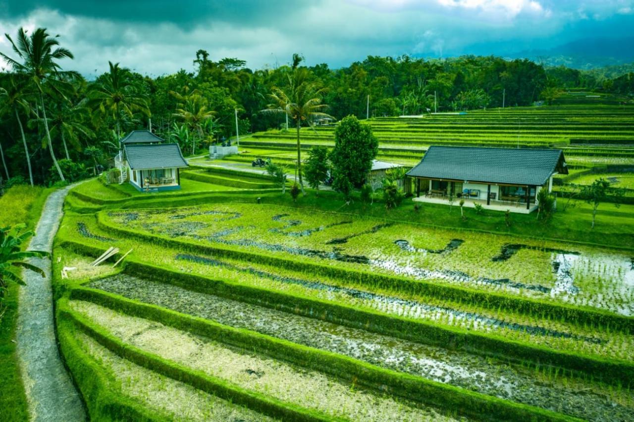 Kubu D'Ume Homestay Jatiluwih Exterior photo