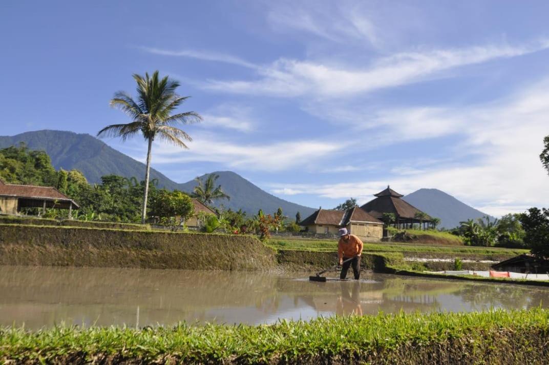 Kubu D'Ume Homestay Jatiluwih Exterior photo