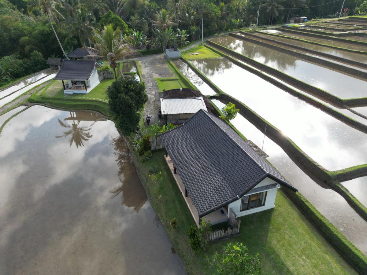 Kubu D'Ume Homestay Jatiluwih Exterior photo