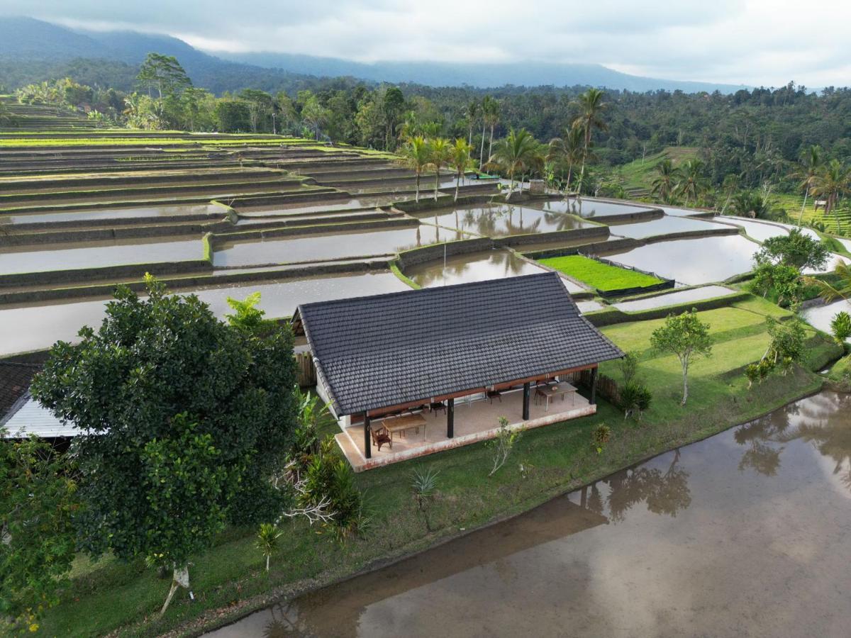 Kubu D'Ume Homestay Jatiluwih Exterior photo