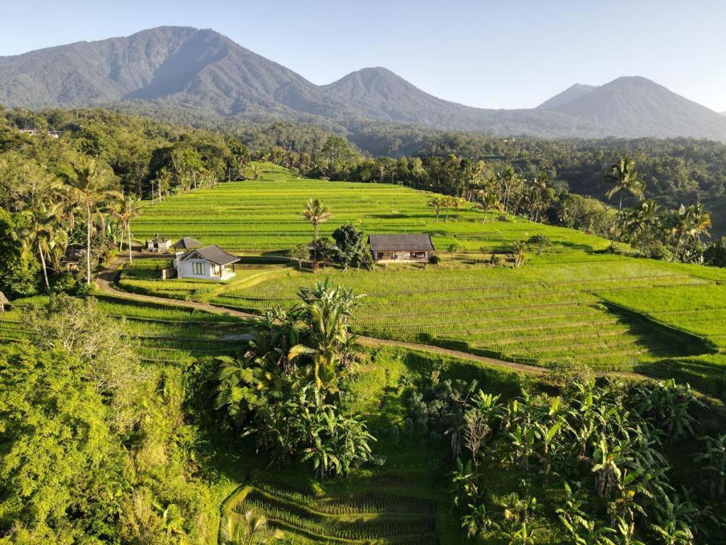 Kubu D'Ume Homestay Jatiluwih Exterior photo