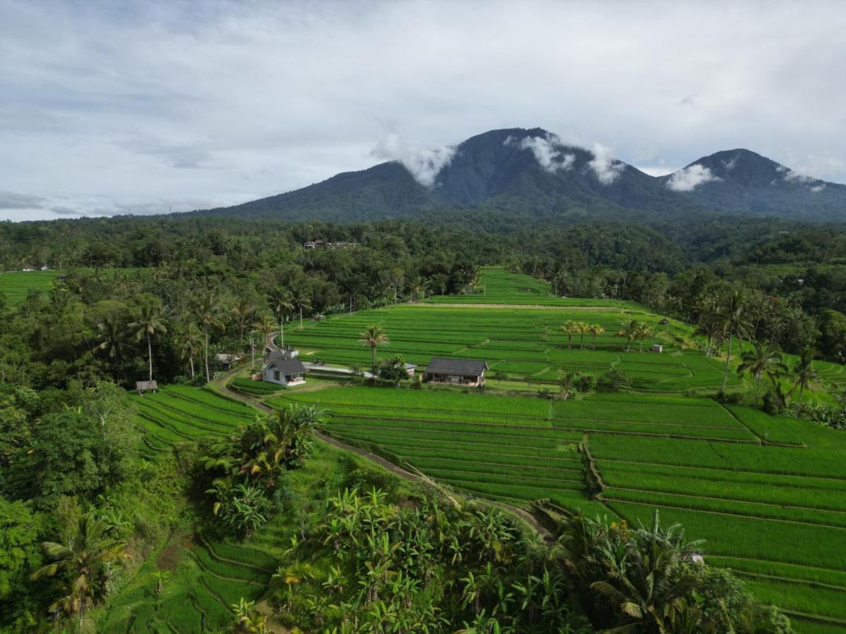 Kubu D'Ume Homestay Jatiluwih Exterior photo