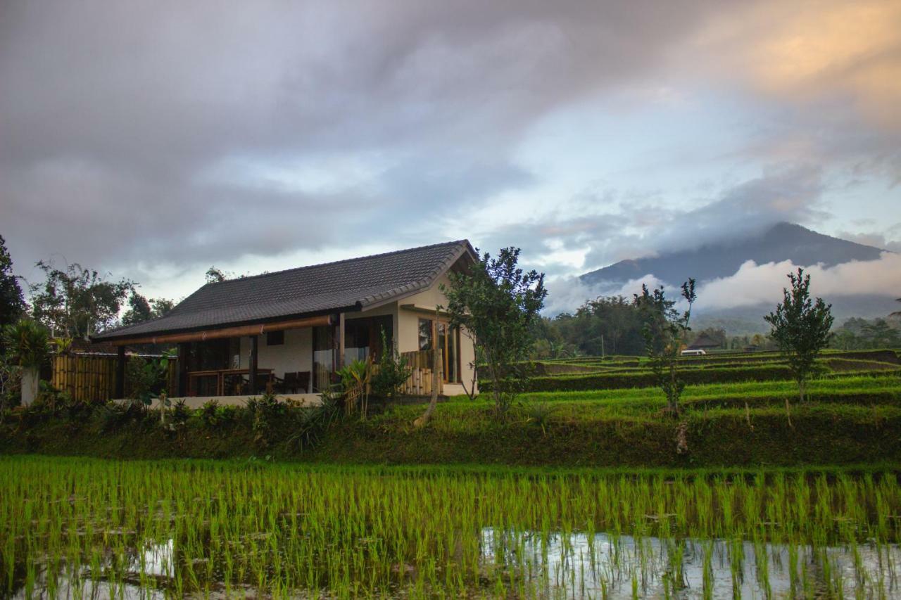 Kubu D'Ume Homestay Jatiluwih Exterior photo