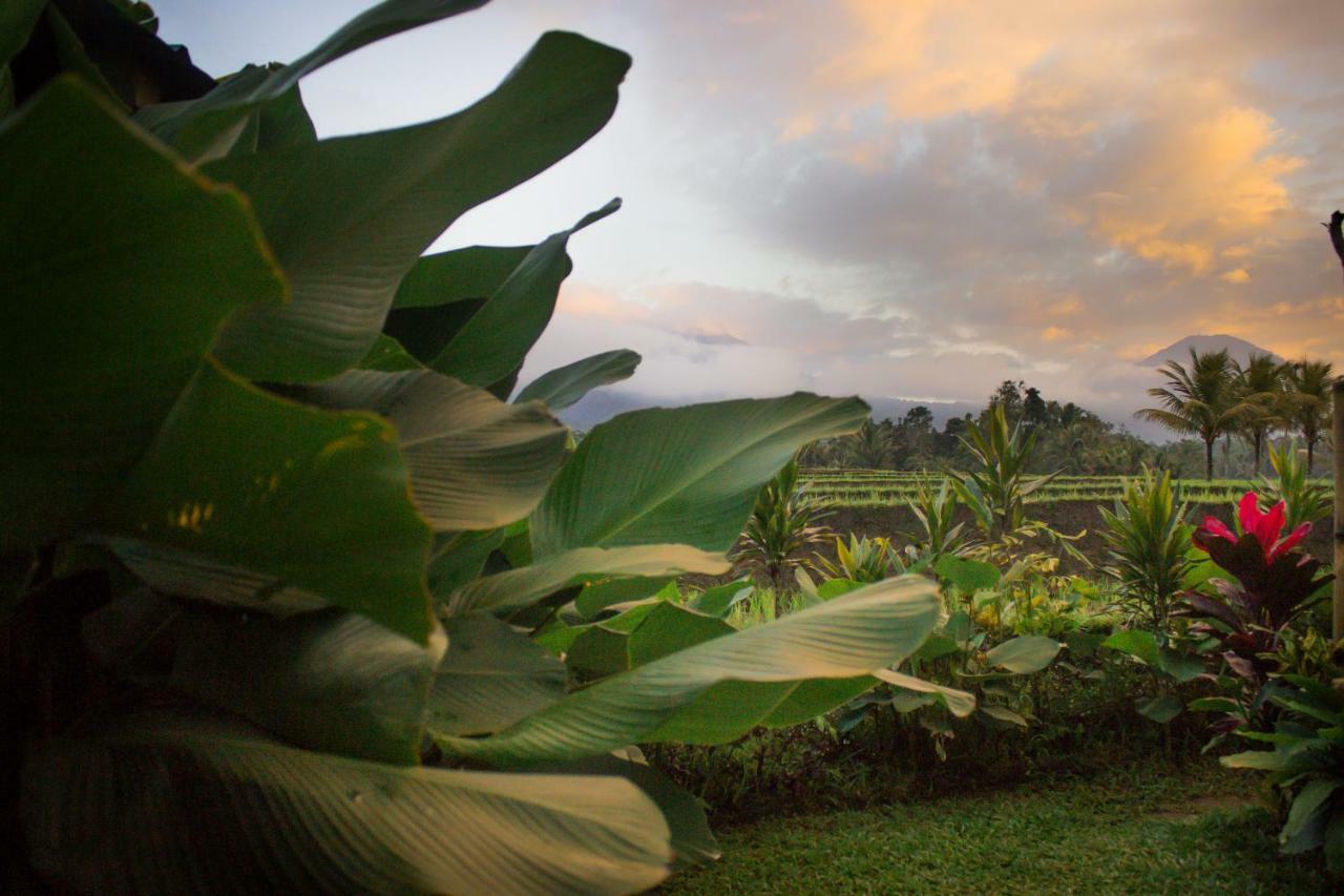 Kubu D'Ume Homestay Jatiluwih Exterior photo