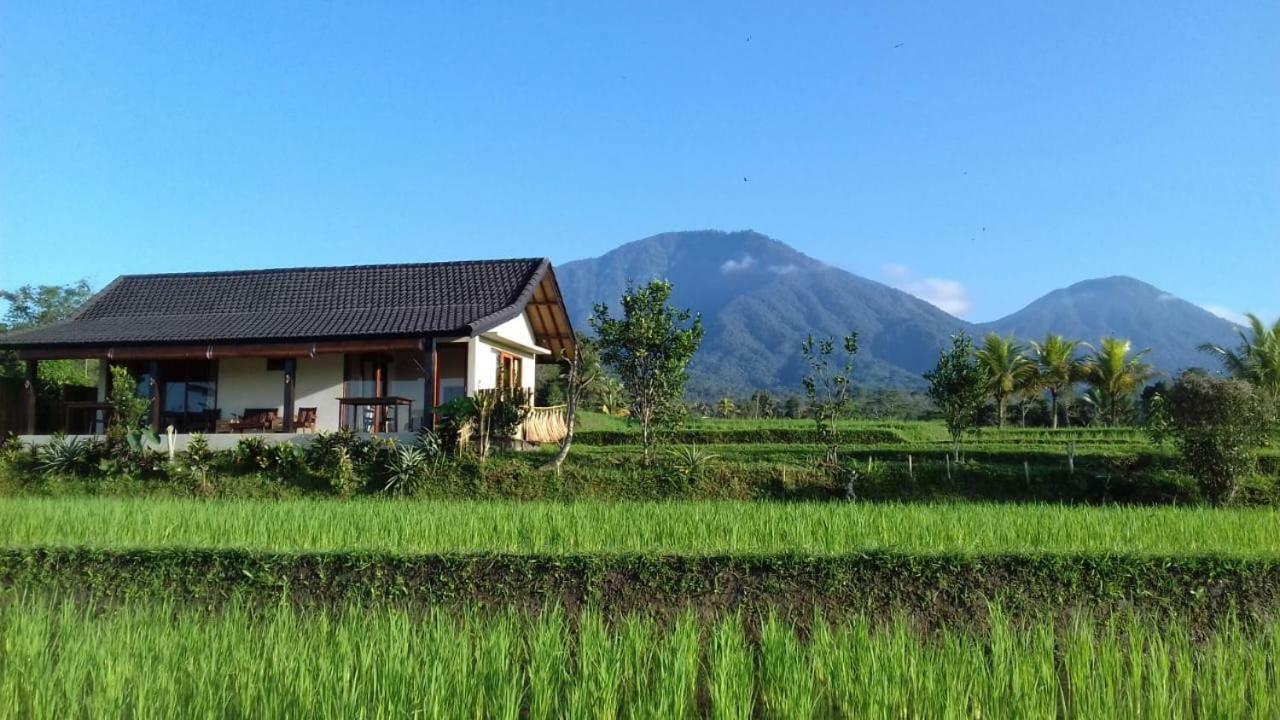 Kubu D'Ume Homestay Jatiluwih Exterior photo