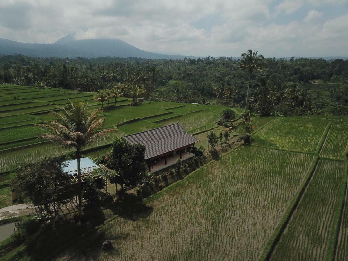 Kubu D'Ume Homestay Jatiluwih Exterior photo