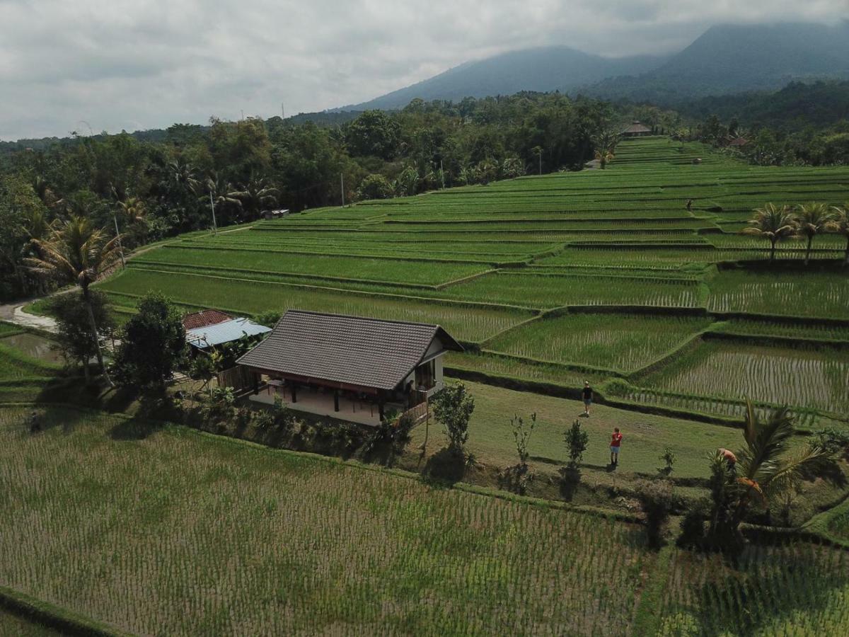 Kubu D'Ume Homestay Jatiluwih Exterior photo