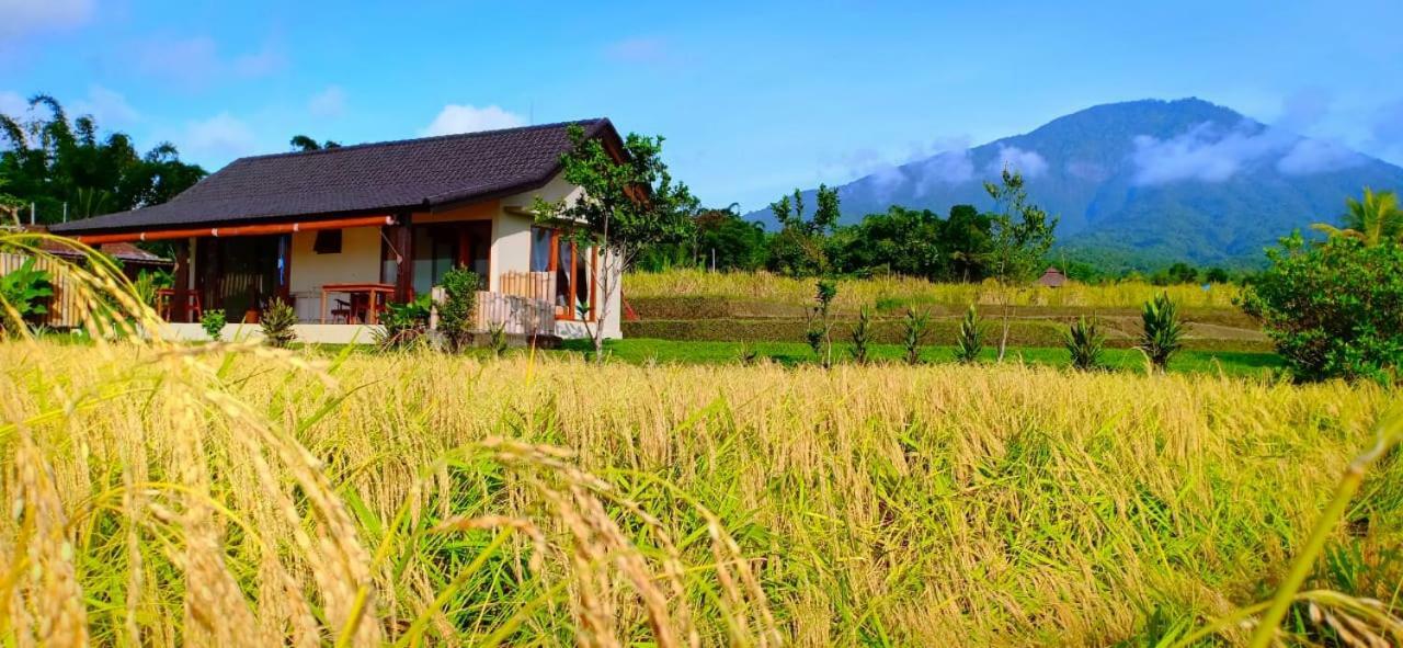 Kubu D'Ume Homestay Jatiluwih Exterior photo