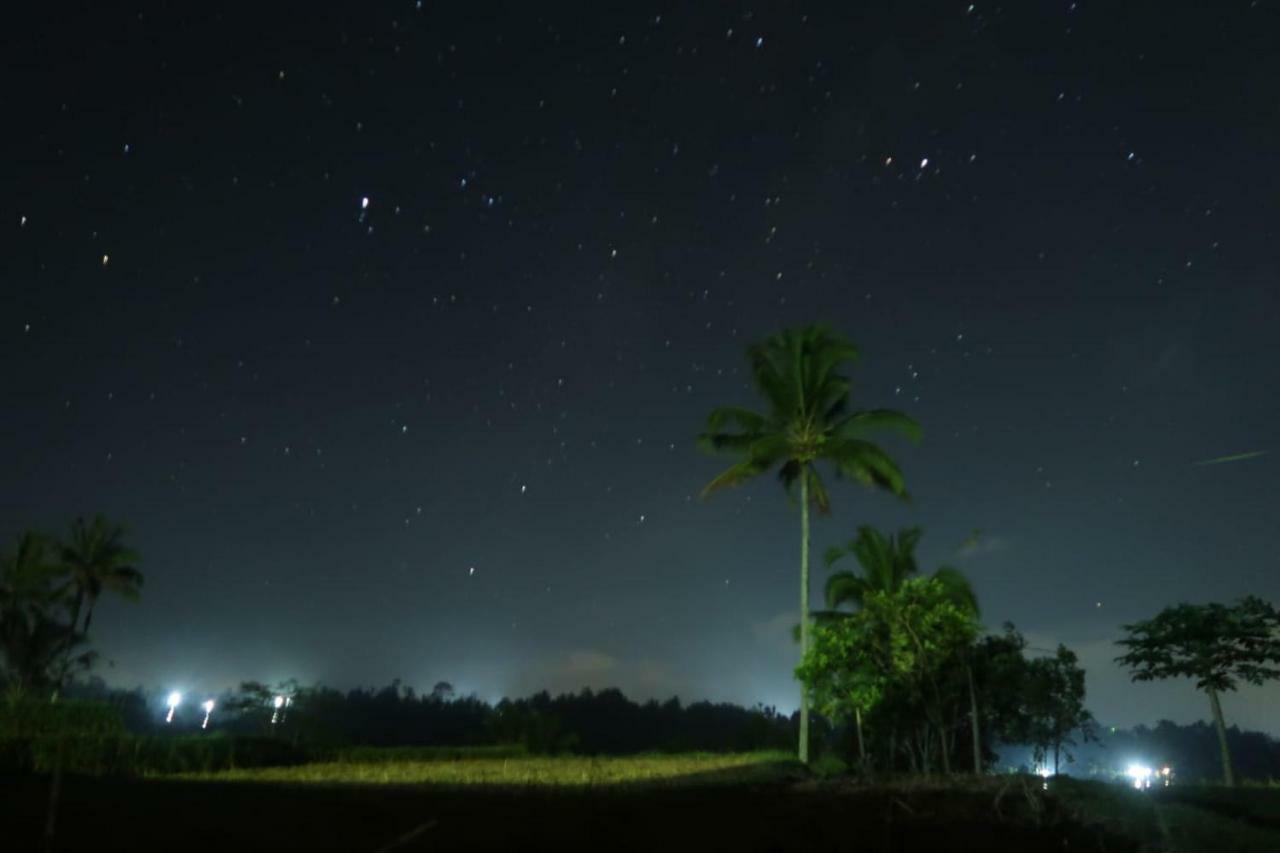 Kubu D'Ume Homestay Jatiluwih Exterior photo