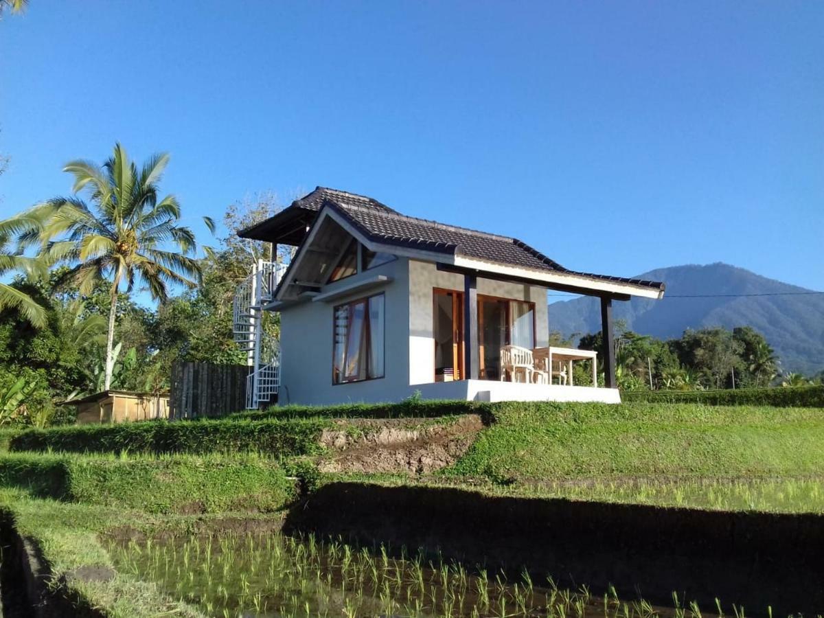 Kubu D'Ume Homestay Jatiluwih Exterior photo