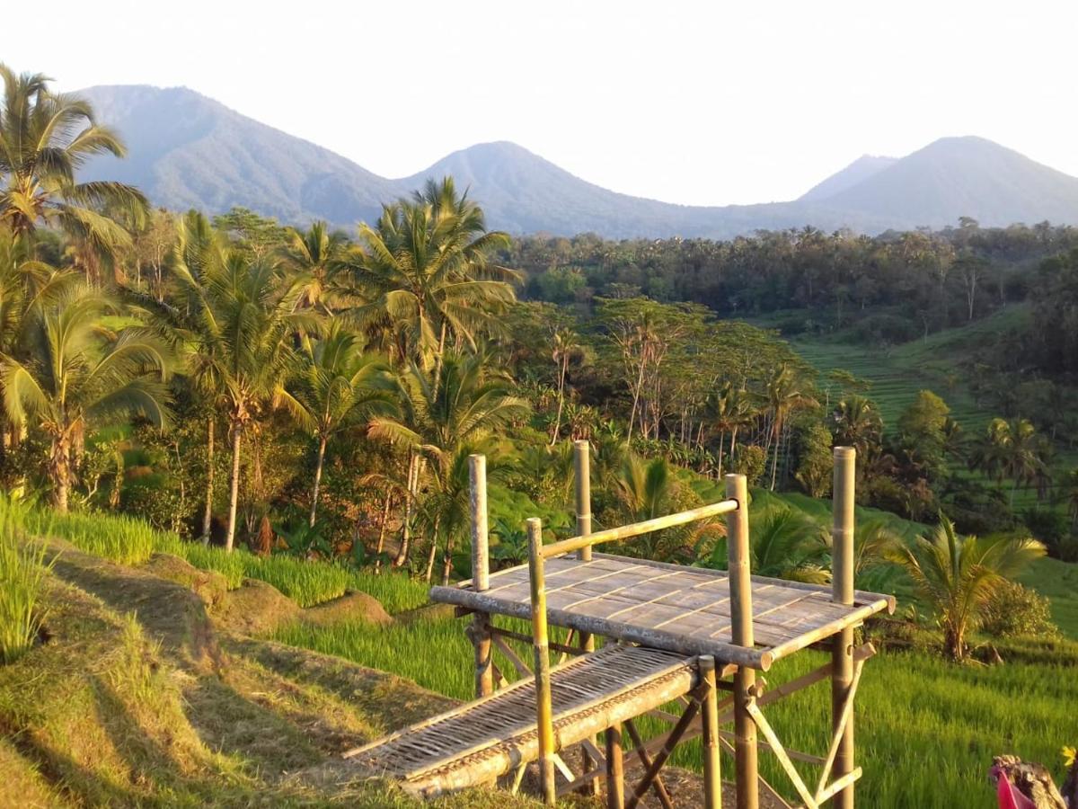 Kubu D'Ume Homestay Jatiluwih Exterior photo